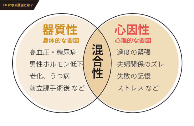 ED(勃起不全)の要因