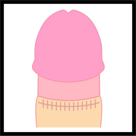 ツートンカラー