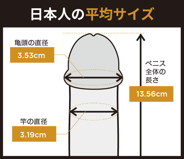 日本人のペニスの平均サイズ