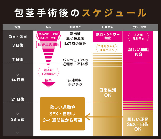包茎手術後のスケジュール