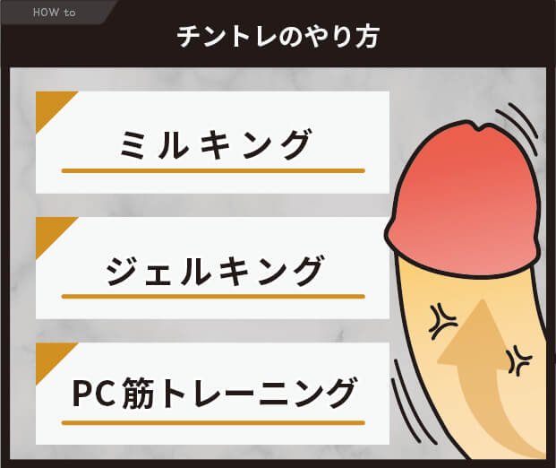 チントレのやり方