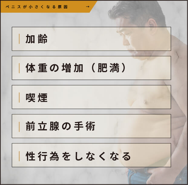 ペニスが小さくなる原因