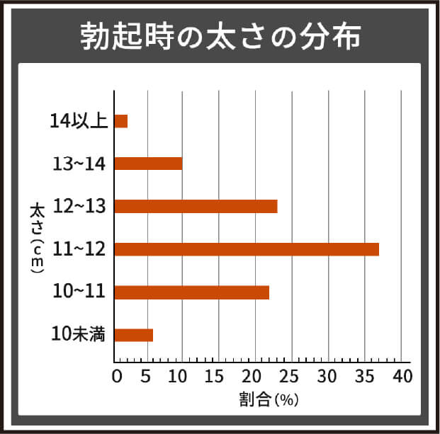 勃起時の大きさの分布