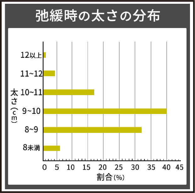 弛緩時の大きさの分布