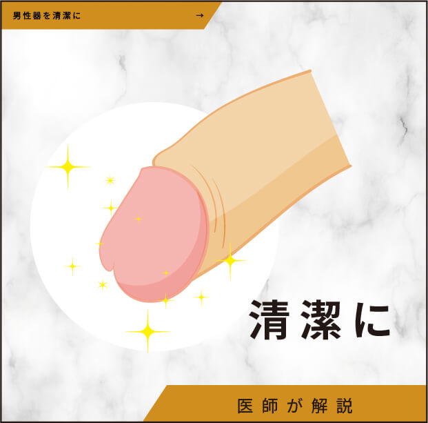 包茎手術で亀頭の清潔は向上する