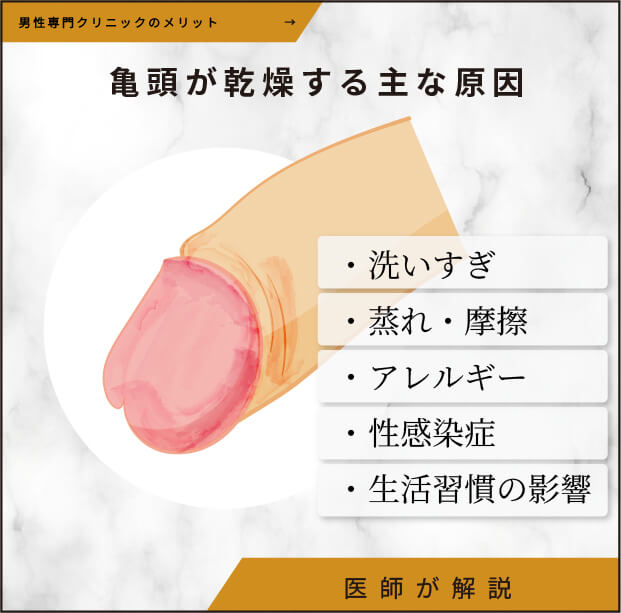 亀頭が乾燥する主な原因
