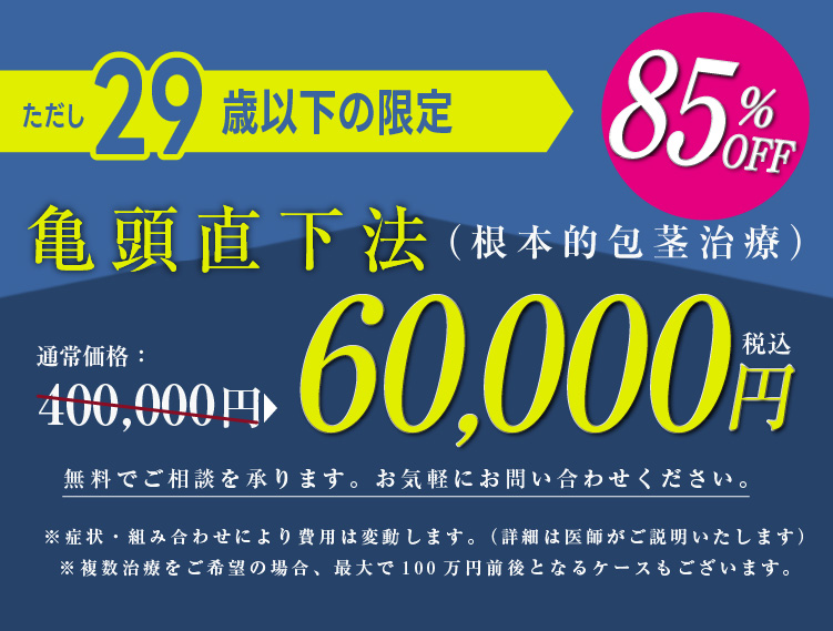料金85％OFF