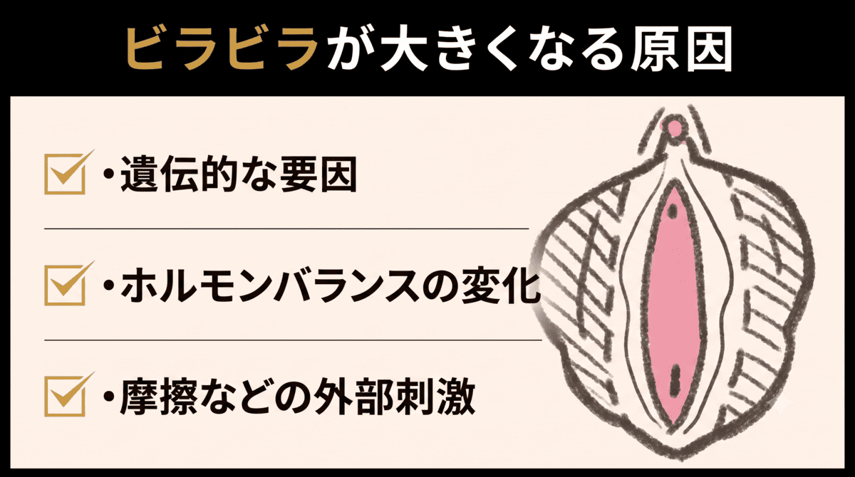 小陰唇（ビラビラ）が大きくなる原因